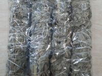 Indian Sage Bundle