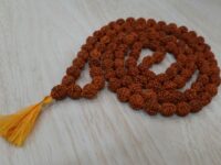 Rudraksha  Jap mala - for mantra chanting - 108+1 beads
