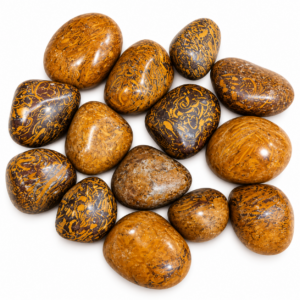 Mariyam Tumbled