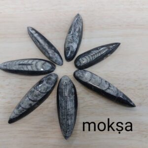kuber-stone-or-orthoceras-1pc