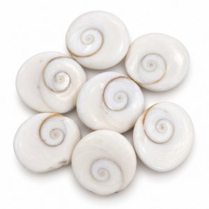 Gomti Chakra Medium