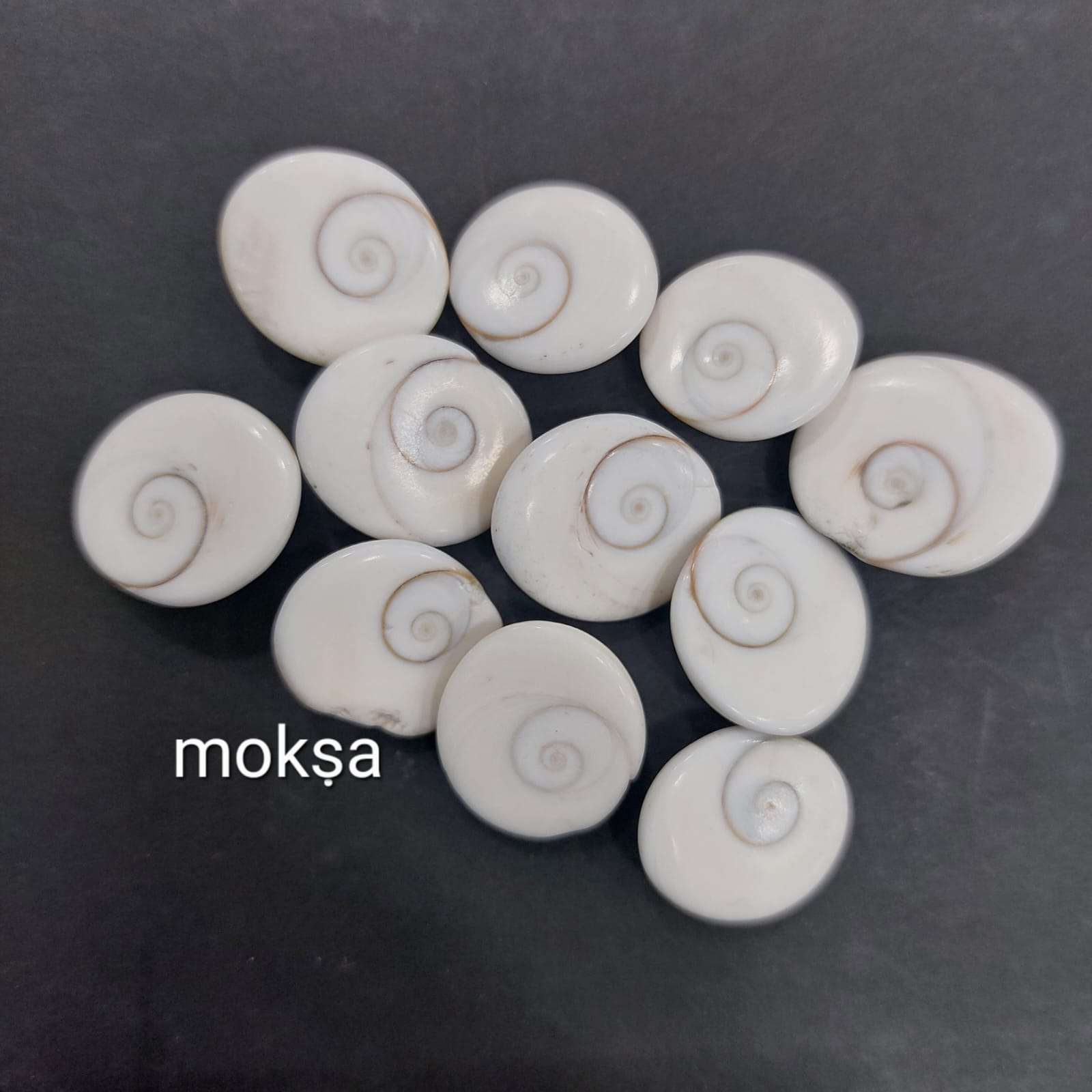 Gomati chakra 11 medium