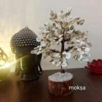 Gomti chakra tree - 300 beads - abundance and prosperity