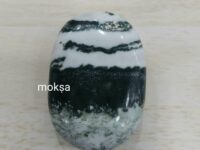 Green Zebra Jasper Crystal Palm Stone - 1pc
