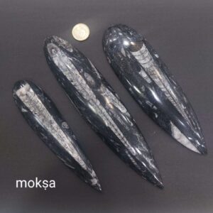 Kuber Stone or Orthoceras Crystal stone- 1pc - large
