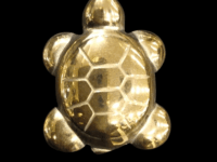 Golden Hematite crystal turtle - 1pc