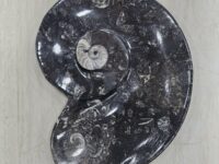 Spiral shaped kuber stone /orthoceras plate