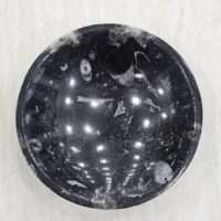 Kuber stone / orthoceras round bowl dish