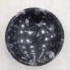 Kuber Stone Orthoceras Bowl