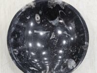 Kuber stone / orthoceras round bowl dish