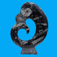 Kuber stone / orthoceras -  home decor - 1pc