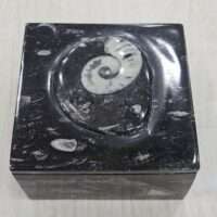Kuber stone / orthoceras box - 1pc
