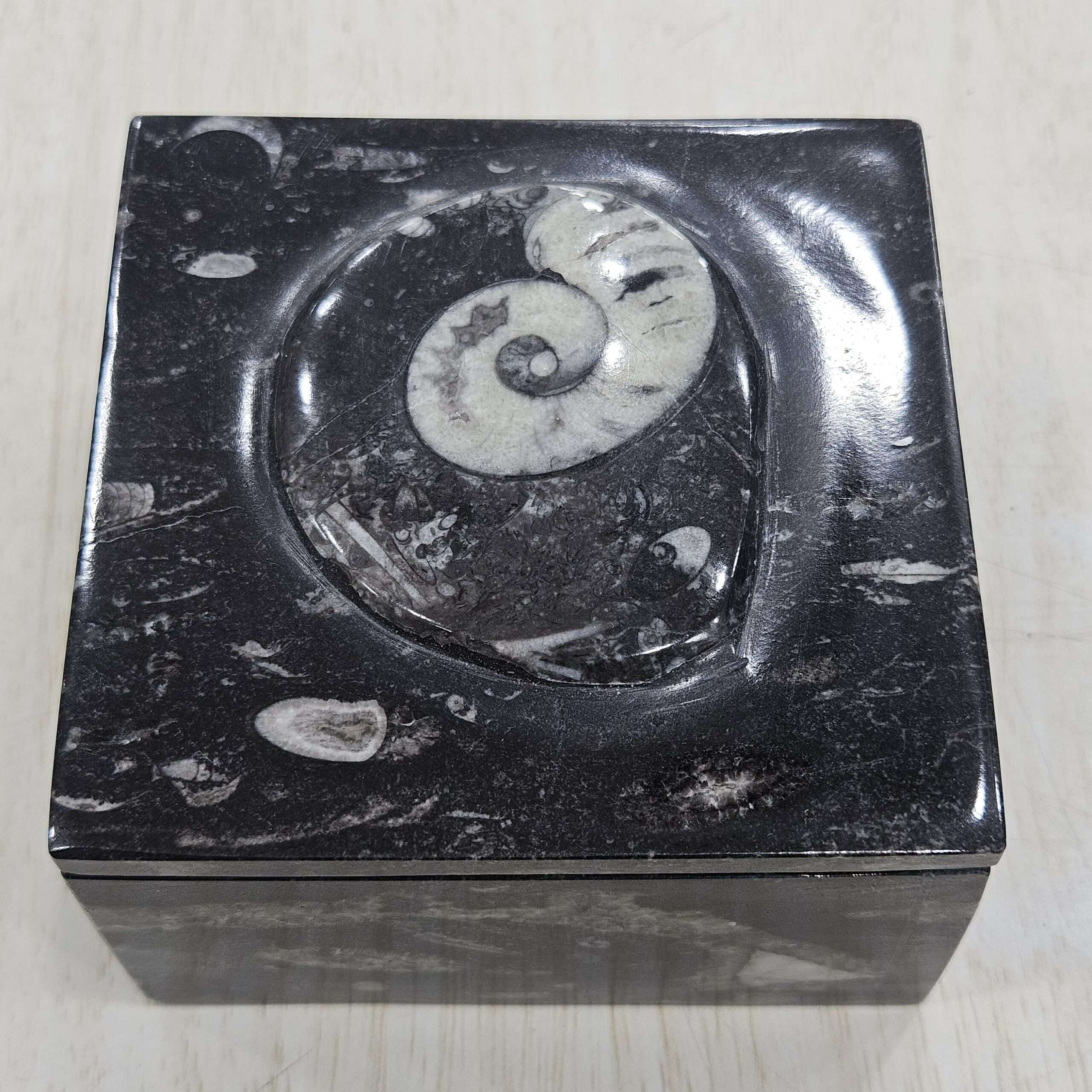 Kuber Stone Orthoceras Fossil Box