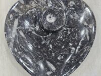 Kuber stone / orthoceras heart shaped plate