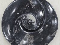 Kuber stone / orthoceras yin-yang plate