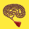 7 mukhi rudraksha mala 8mm