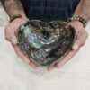 Labradorite Heart 492gms