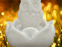 Selenite orgone Owl on a lotus