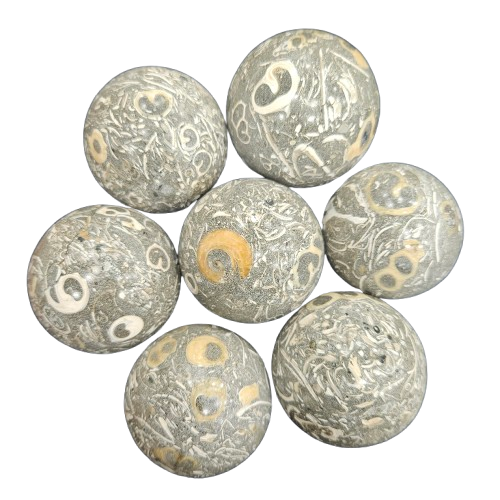 turritella agate sphere