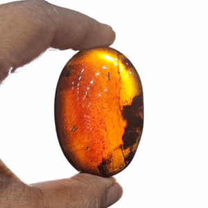 Amber Palm stone