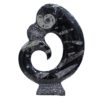 Kuber Stone Orthoceras fossil