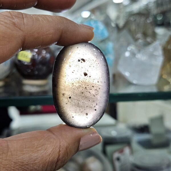 caribbean tektite palmstone