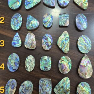 Abalone shell cabachons for pendant